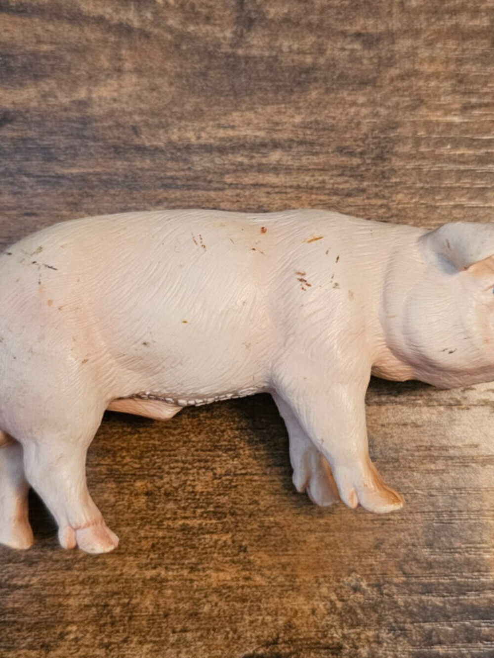 2003 Schleich Male Pig Wildlife Educational Animal Figure Farm